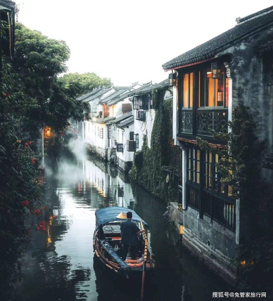 拯救机灵鸟